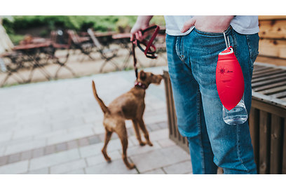Silikon Outdoor Trinkflasche List - Hund & Freizeit