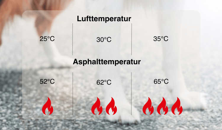 Die Temperatur von Asphalt