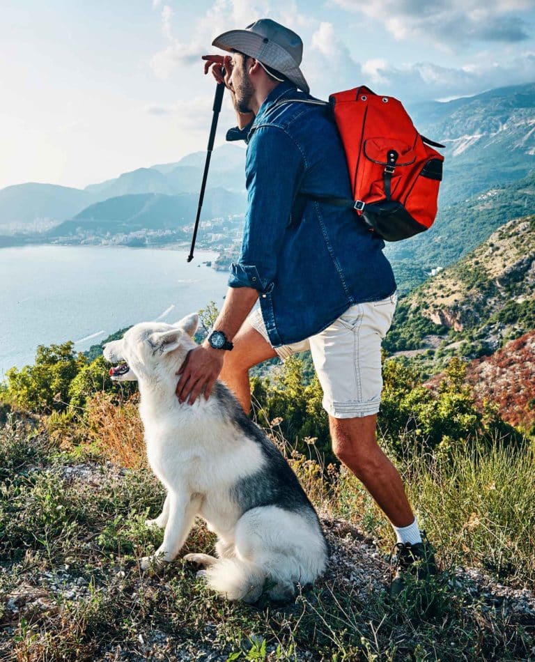 Wanderer schaut über Tal mit seinem Hund