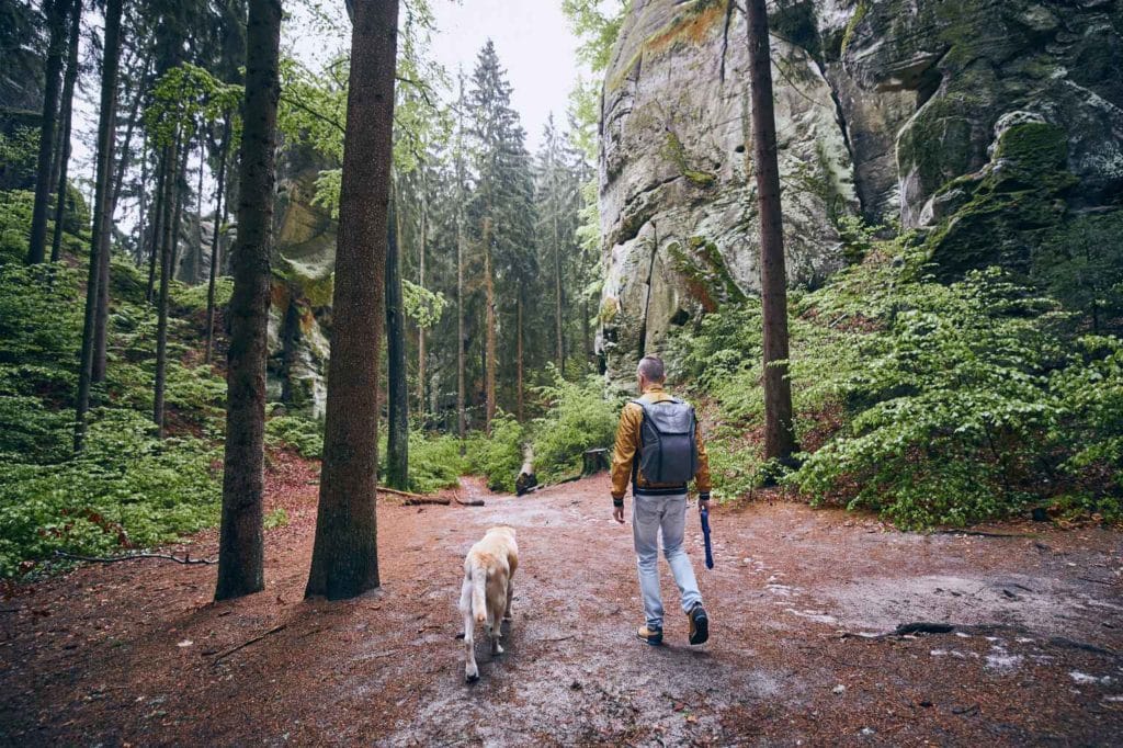 Ein Mann und sein Hund gehen durch ein Tal