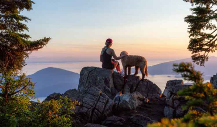 Frau und Hund schauen den Sonnenuntergang an